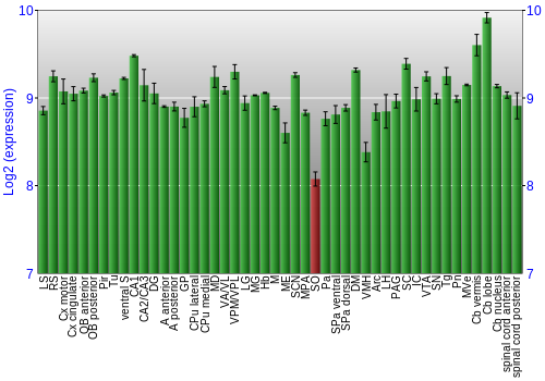 Multi-state expression graph