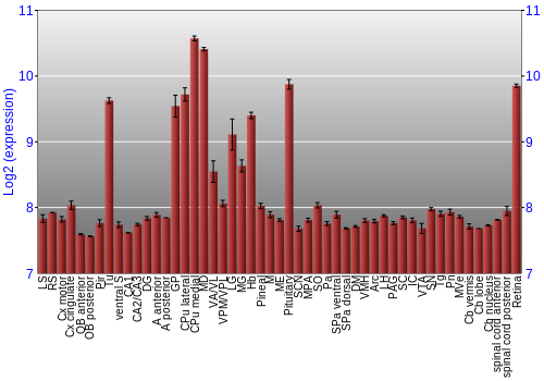 Expression graph