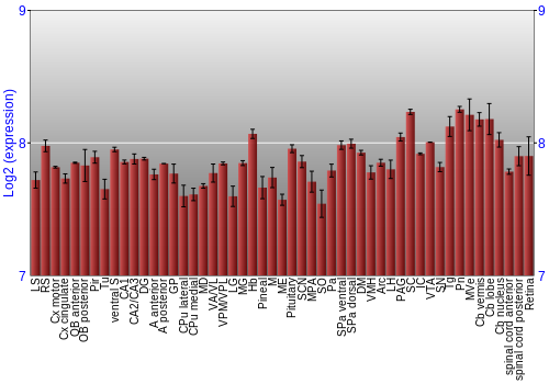 Expression graph