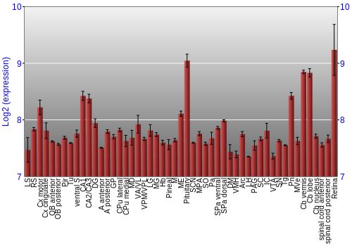 Expression graph