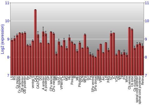 Expression graph