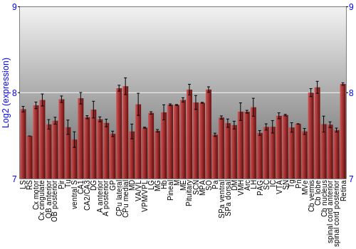 Expression graph
