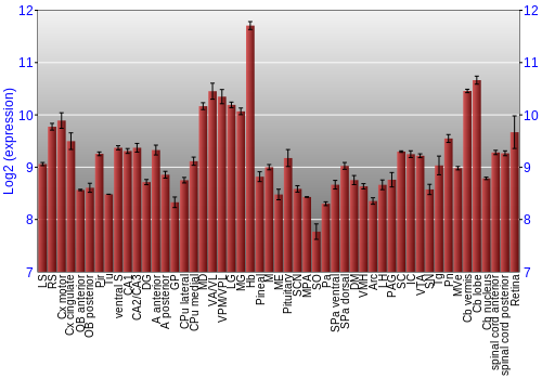 Expression graph