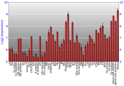 Expression graph