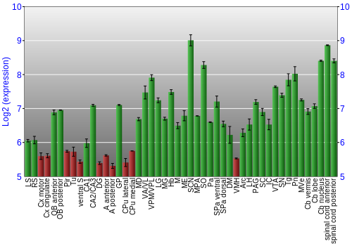 Multi-state expression graph