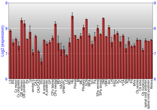 Expression graph