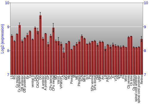 Expression graph