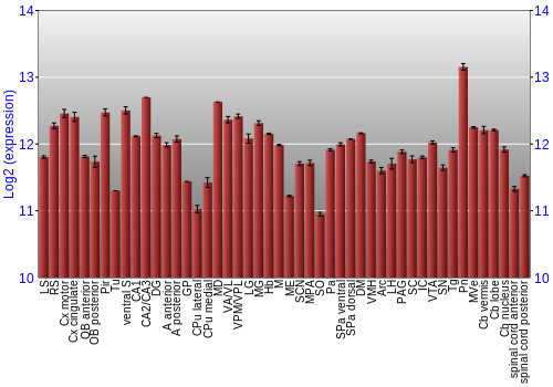 Multi-state expression graph