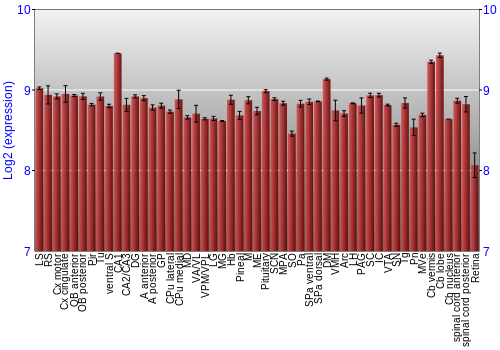 Expression graph