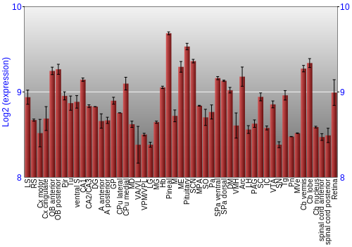 Expression graph
