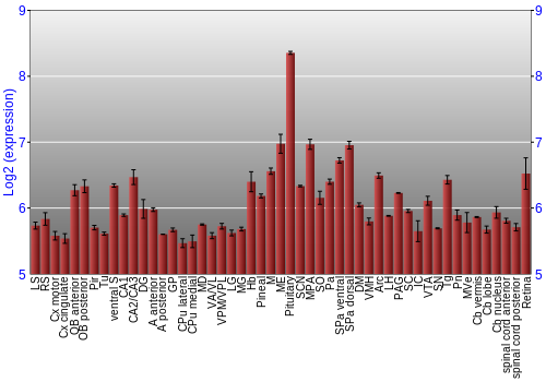 Expression graph