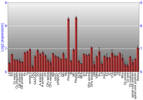 Expression graph