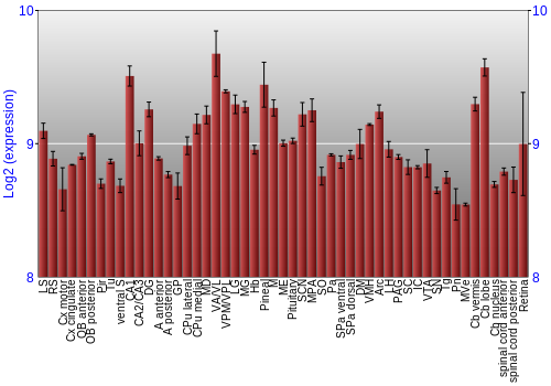 Expression graph