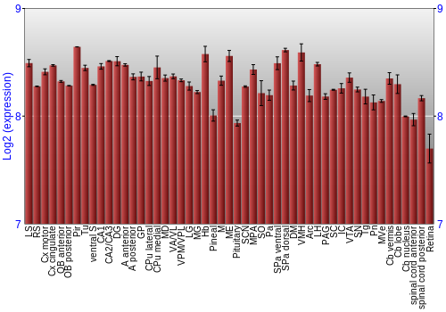 Expression graph
