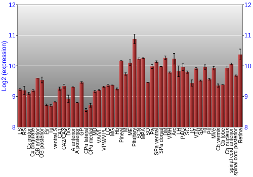 Expression graph