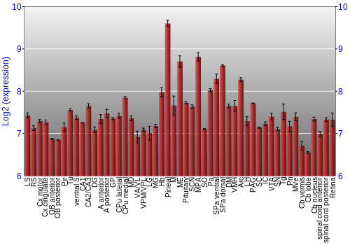 Expression graph