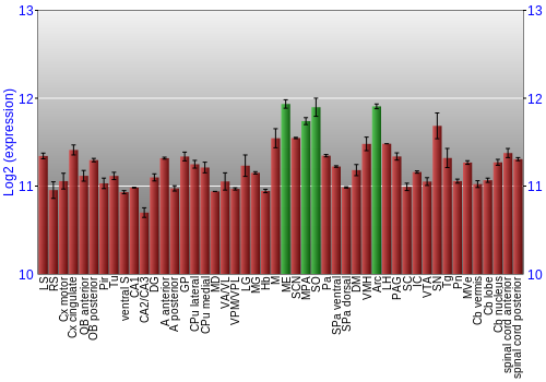 Multi-state expression graph
