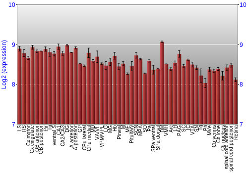 Expression graph