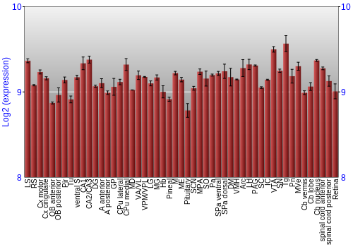 Expression graph