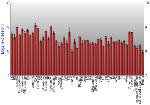 Expression graph