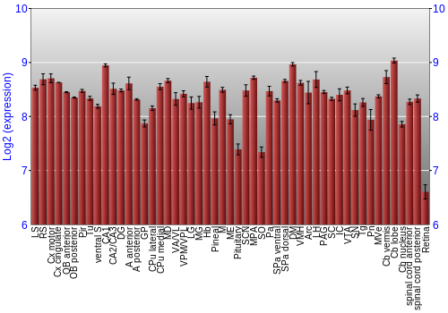 Expression graph