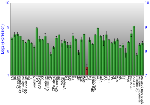 Multi-state expression graph