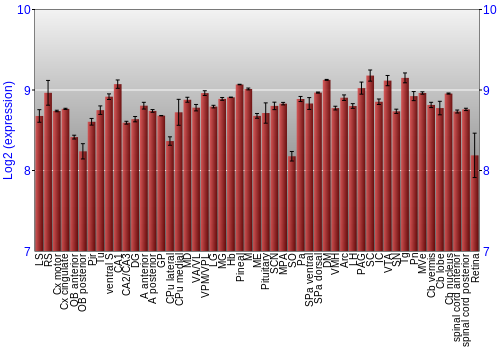 Expression graph