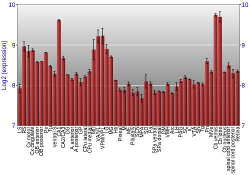 Expression graph