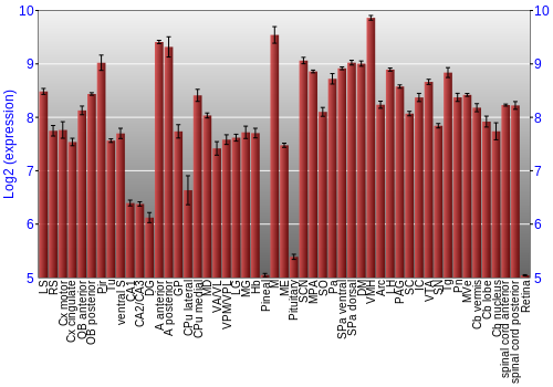 Expression graph