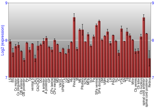Expression graph
