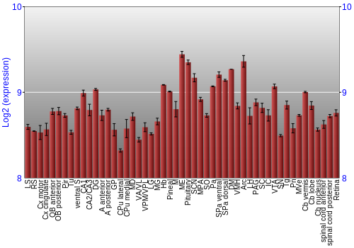 Expression graph
