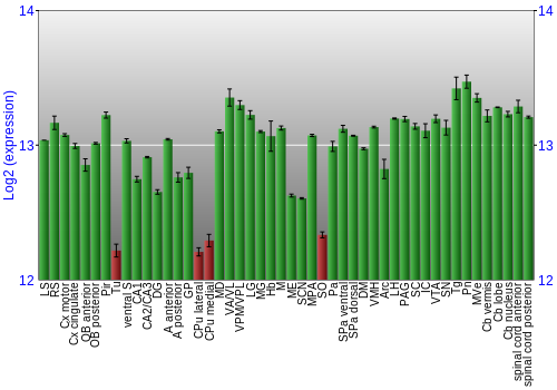 Multi-state expression graph