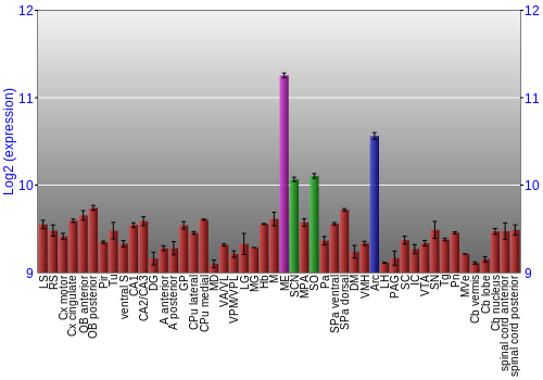 Multi-state expression graph