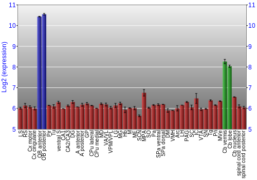 Multi-state expression graph