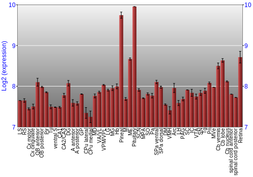 Expression graph