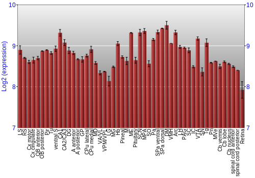 Expression graph