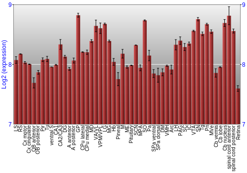 Expression graph