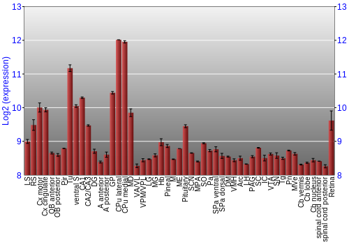 Expression graph