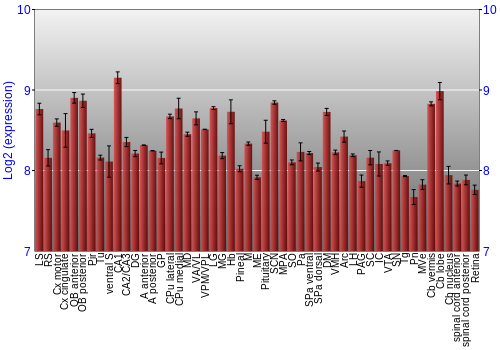 Expression graph