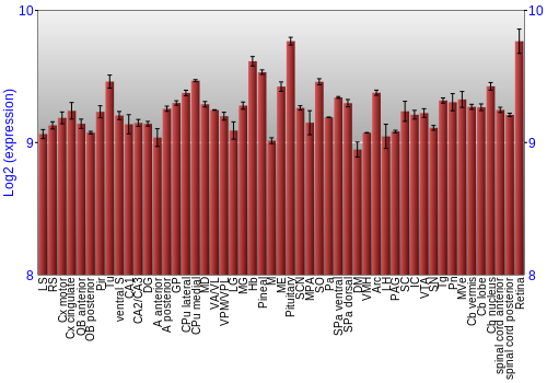 Expression graph