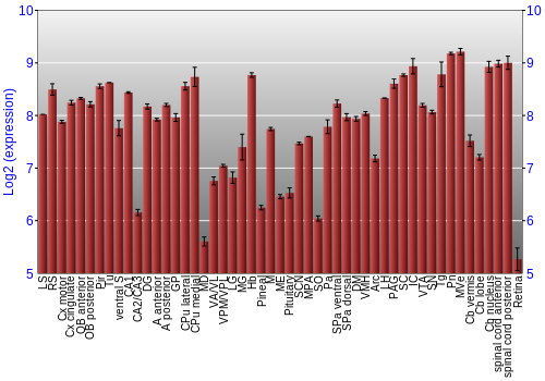 Expression graph