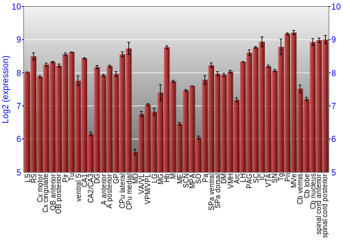 Multi-state expression graph