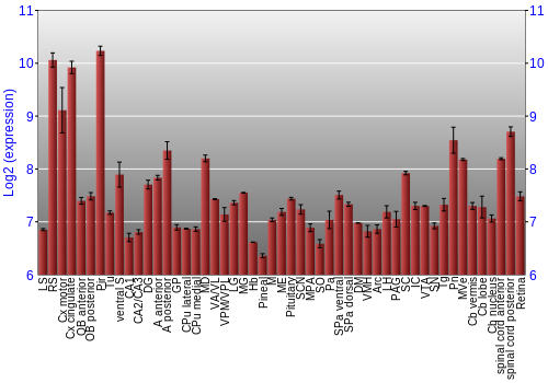 Expression graph