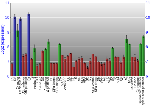 Multi-state expression graph