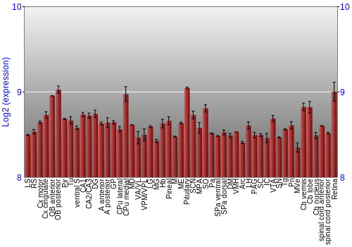 Expression graph