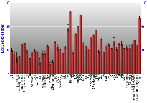 Expression graph