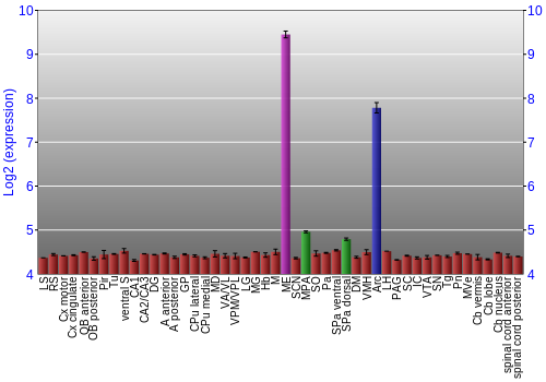 Multi-state expression graph