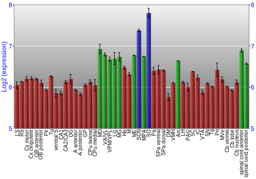 Multi-state expression graph