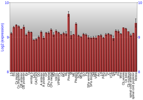 Expression graph