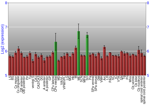 Multi-state expression graph